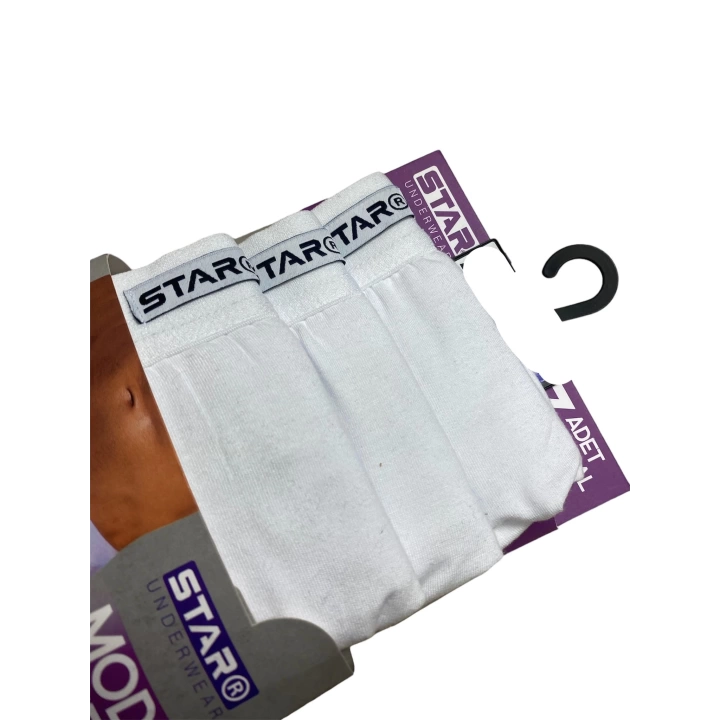 Star 109 Erkek  3lü Modal Slip