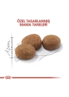 Royal Canin Sterilised Yetişkin Kısırlaştırılmış Kedi Maması 10 Kg