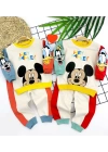 9-12-18-24 Ay Mickey Ve Arkadaşları Desenli Uzun Kollu Sweat 2li Kız Erkek Bebek Takımı Mavi