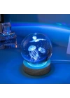 Ahşap Altlıklı Renk Değiştiren Cam Küre Deniz Anası RGB