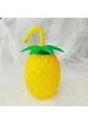 Ananas Pipetli Suluk