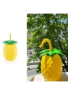 Ananas Pipetli Suluk