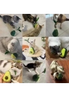 Avokado Şeklinde Kedi Naneli ve Mama Hazneli Kedi Oyuncağı