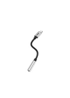 Basic Ca110 Metal Başlıklı Örgü Kablo Lightning To 3.5mm Jack Çevirici
