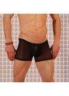 Beruflic Br030919 Beruflic Erkek  Boxer Çamaşır