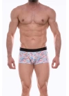 Beruflic Erkek  Desenli Boxer