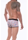 Beruflic Erkek  Desenli Boxer