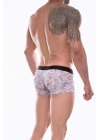 Beruflic Erkek  Desenli Boxer