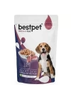 Bestpet Adult Kuzu Etli Yetişkin Köpek Konservesi 100 Gr