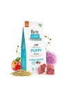 Brit Care Hypo-Allergenic Kuzu Etli Yavru Köpek Maması 12 Kg