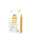 Brit Care Mini Hair Skin Somonlu Tahılsız Küçük Irk Köpek Maması 2 Kg