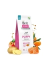 Brit Care Puppy Tahılsız Skin & Coat Somonlu Yavru Köpek Maması 3 Kg