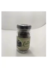 Catnip Doğal Kedi Otu - Kedi Nanesi