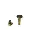 Cilt Menü, Katalog, Kartela Vidası, 13mm - Sarı, 1 Adet