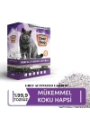 Clean Step Perfect Odor Aktif Karbonlu Papatya Kokulu İnce Taneli Topaklanan Bentonit Kedi Kumu 10 Lt