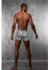 Doreanse Yazı, Baskılı Erkek  Boxer 1896