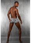 Doreanse Zebra Desenli Erkek  Boxer 1795