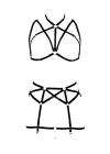 Göğüs Ve Jartiyer Kemerli Seksi Harness - Brf161