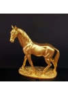Gold Renk At Biblosu