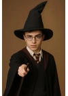 Harry Potter Seçmen Şapkası Siyah Renk