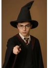 Harry Potter Seçmen Şapkası Siyah Renk