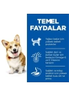 Hills Adult Small Küçük Irk Kuzulu Yetişkin Köpek Maması 5 Kg+1 Kg Hediyeli