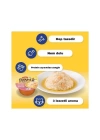 Inaba Ciao Dashi Delights Tavuklu Ton ve Somon Balıklı Kedi Çorbası 70 Gr