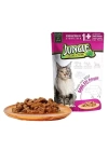 Jungle Biftekli Pouch Yetişkin Kısırlaştırılmış Konserve Kedi Maması 85 Gr
