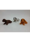 Kafa Sallayan Köpek Biblo