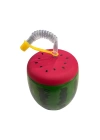 Karpuz Tasarımlı Pipetli Suluk 900 Ml