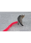 Kedi Tırmalama Fırçası - Kedi Oyuncağı