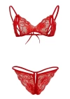 Kırmızı Dantelli Fantazi Sütyen Ve G-string Takım Tm2048