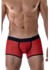 Kırmızı Erkek  Boxer
