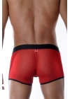 Kırmızı Erkek  Boxer
