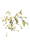 Klips, Menteşe, Ayağı Çivisi 7mm Çelik - Sarı 100gr
