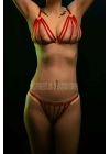 Lastik Harness Sütyen Külot Takım - Brf555