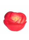 Led Işıklı Gül Romantik Gül
