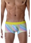 Renkli Boxer