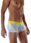 Renkli Boxer