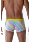 Renkli Boxer