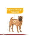 Royal Canin Adult Medium Dermacomfort Yetişkin Köpek Maması 12 Kg