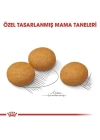 Royal Canin Adult Medium Dermacomfort Yetişkin Köpek Maması 12 Kg