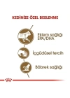 Royal Canin Ageing +12 Gravy Pouch Yaşlı Konserve Kedi Maması 85 Gr