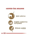 Royal Canin Ageing +12 Yaşlı Kedi Maması 2 Kg