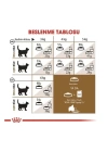 Royal Canin Ageing +12 Yaşlı Kedi Maması 2 Kg