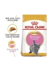 Royal Canin British Shorthair Kitten Yavru Kedi Maması 2 Kg