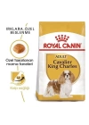 Royal Canin Cavalier King Charles Yetişkin Köpek Maması 1.5 Kg