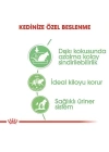 Royal Canin Digestive Sensitive Gravy Pouch Kedi Maması 85 Gr
