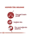 Royal Canin Fit 32 Yetişkin Kedi Maması 2 Kg