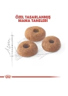Royal Canin Fit 32 Yetişkin Kedi Maması 2 Kg